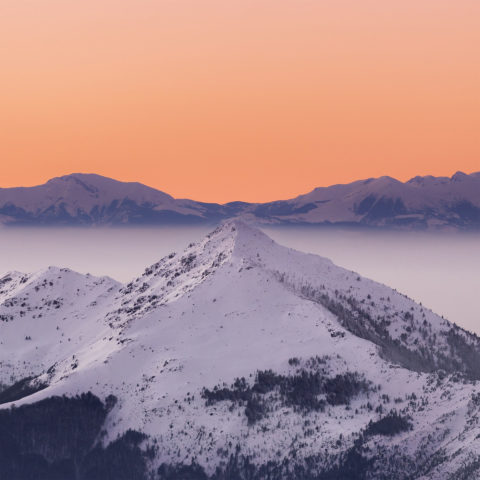 Titel dieser Galerie